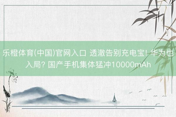 乐橙体育(中国)官网入口 透澈告别充电宝! 华为也入局? 国产手机集体猛冲10000mAh