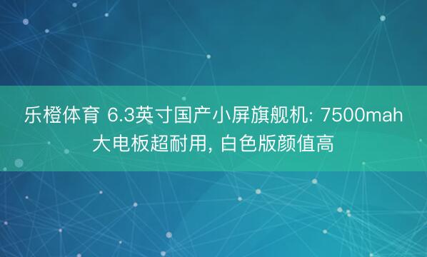 乐橙体育 6.3英寸国产小屏旗舰机: 7500mah大电板超耐用, 白色版颜值高