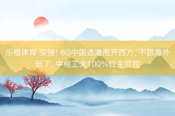 乐橙体育 实锤! 6G中国透澈甩开西方， 不跟海外玩了， 中枢工夫100%自主可控