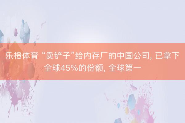 乐橙体育 “卖铲子”给内存厂的中国公司， 已拿下全球45%的份额， 全球第一