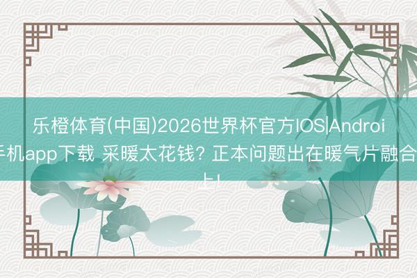 乐橙体育(中国)2026世界杯官方IOS|Android手机app下载 采暖太花钱? 正本问题出在暖气片融合上!