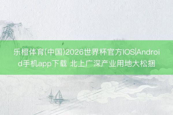 乐橙体育(中国)2026世界杯官方IOS|Android手机app下载 北上广深产业用地大松捆