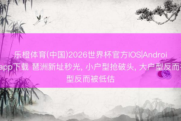 乐橙体育(中国)2026世界杯官方IOS|Android手机app下载 琶洲新址秒光， 小户型抢破头， 大户型反而被低估