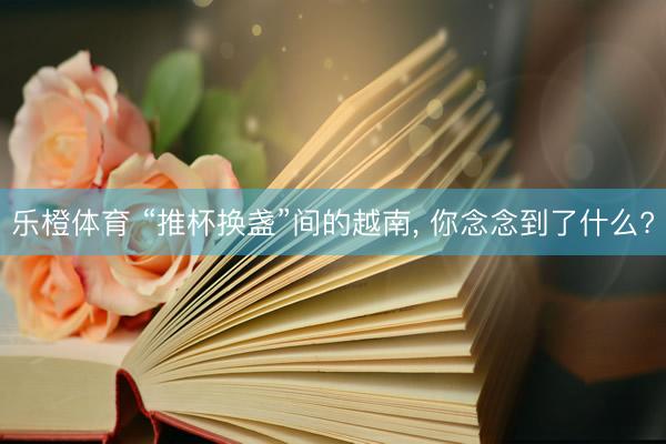乐橙体育 “推杯换盏”间的越南， 你念念到了什么?