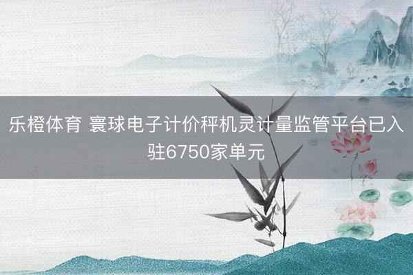 乐橙体育 寰球电子计价秤机灵计量监管平台已入驻6750家单元