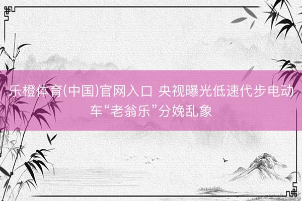 乐橙体育(中国)官网入口 央视曝光低速代步电动车“老翁乐”分娩乱象