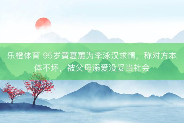 乐橙体育 95岁黄夏蕙为李泳汉求情，称对方本体不坏，被父母溺爱没妥当社会