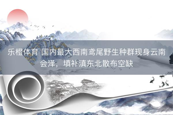 乐橙体育 国内最大西南鸢尾野生种群现身云南会泽，填补滇东北散布空缺