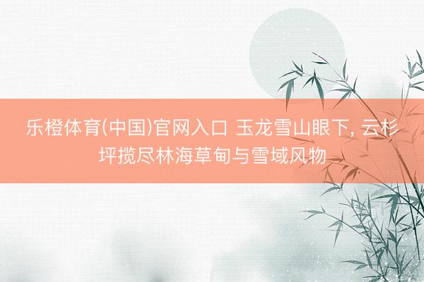 乐橙体育(中国)官网入口 玉龙雪山眼下， 云杉坪揽尽林海草甸与雪域风物