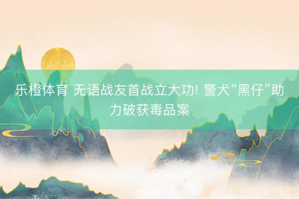 乐橙体育 无语战友首战立大功! 警犬“黑仔”助力破获毒品案