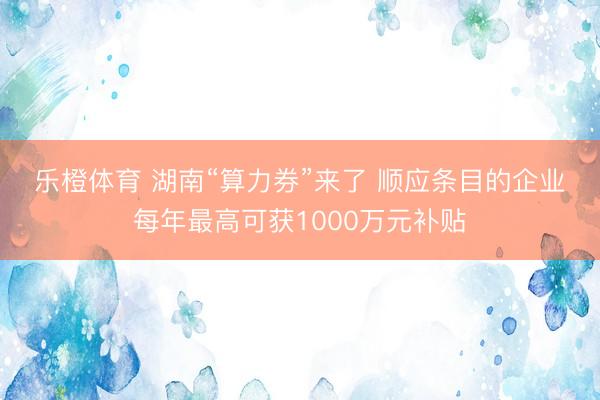 乐橙体育 湖南“算力券”来了 顺应条目的企业每年最高可获1000万元补贴